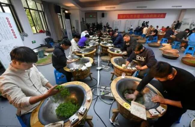 关于西湖龙井炒茶王 “新锐”同场挑“大王”的相关信息