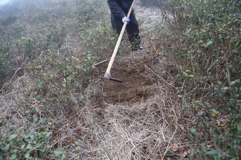 有关于新昌县开展寻茶记“精品茶宕”评选活动的资讯(3)