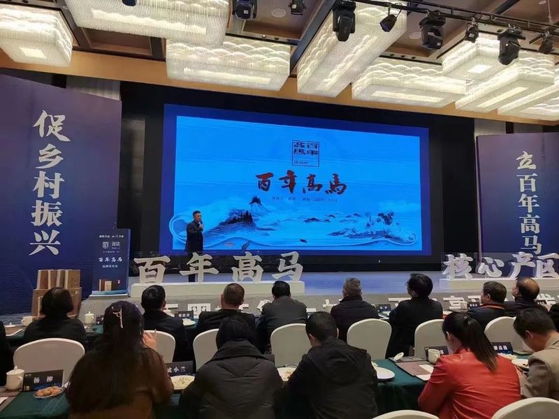 关于高马二溪村“百年高马”公共品牌发布会成功召开的最新消息(1)
