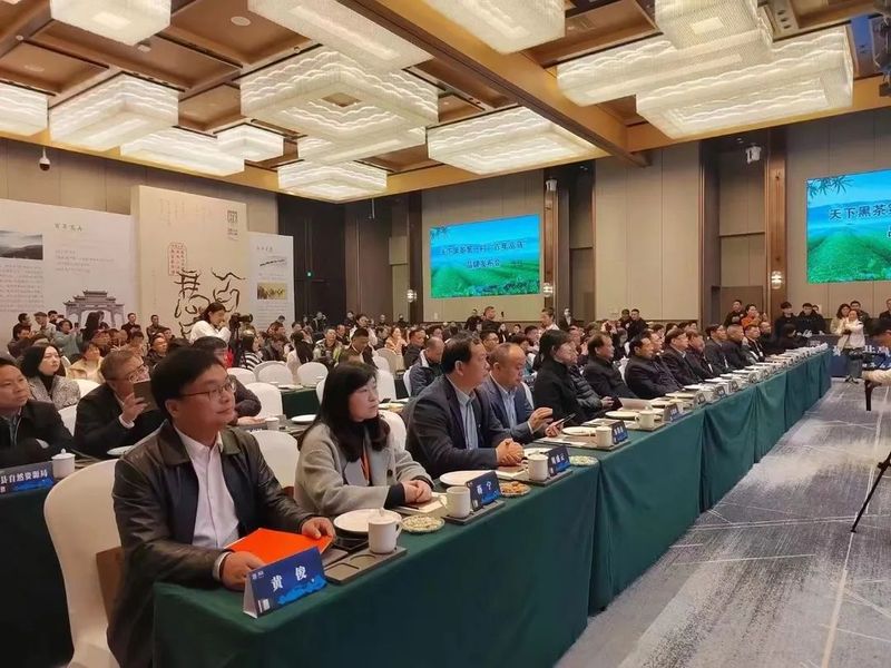 关于高马二溪村“百年高马”公共品牌发布会成功召开的最新消息(2)