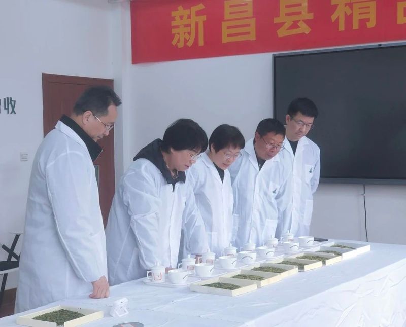 关于2023年新昌县首批大佛龙井精品茶评审出炉！的相关内容(1)