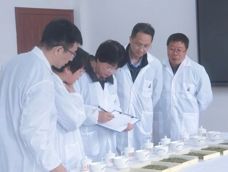 关于2023年新昌县首批大佛龙井精品茶评审出炉！的相关内容(3)