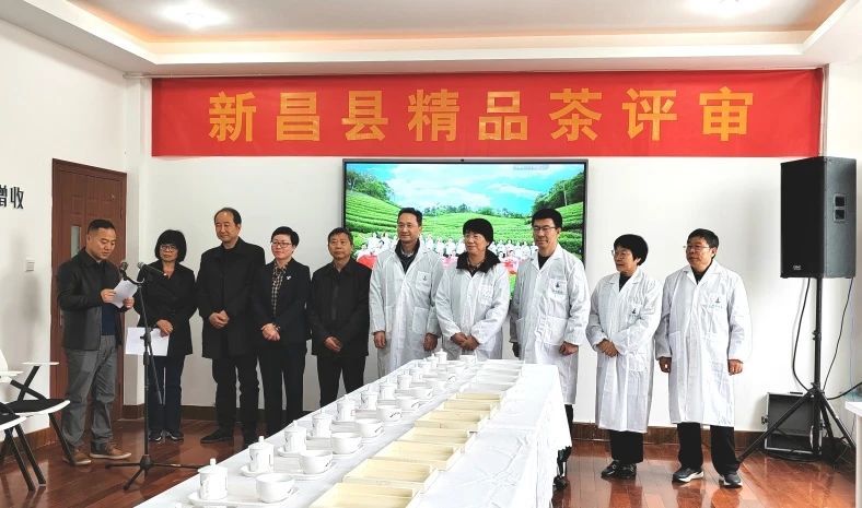关于2023年新昌县首批大佛龙井精品茶评审出炉！的相关内容