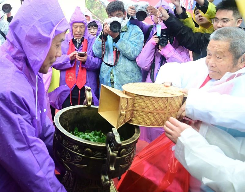有关于祭茶祖，礼茶事！癸卯年中国白茶始祖·太姥祭典实况！的信息(5)