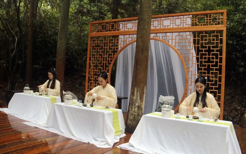 有关于祭茶祖，礼茶事！癸卯年中国白茶始祖·太姥祭典实况！的信息(11)