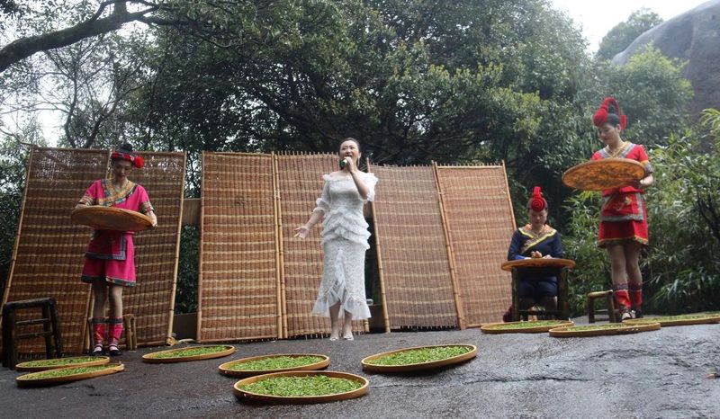 有关于祭茶祖，礼茶事！癸卯年中国白茶始祖·太姥祭典实况！的信息(10)
