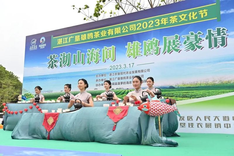 有关于指尖撷取“春之味”！“菠萝的海”旁边的3000亩春茶开摘的内容(7)