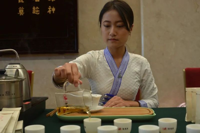 关于景谷区域公共品牌“景谷大白茶”发布会在昆明举行的消息(3)