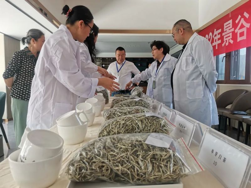 关于景谷区域公共品牌“景谷大白茶”发布会在昆明举行的消息(8)