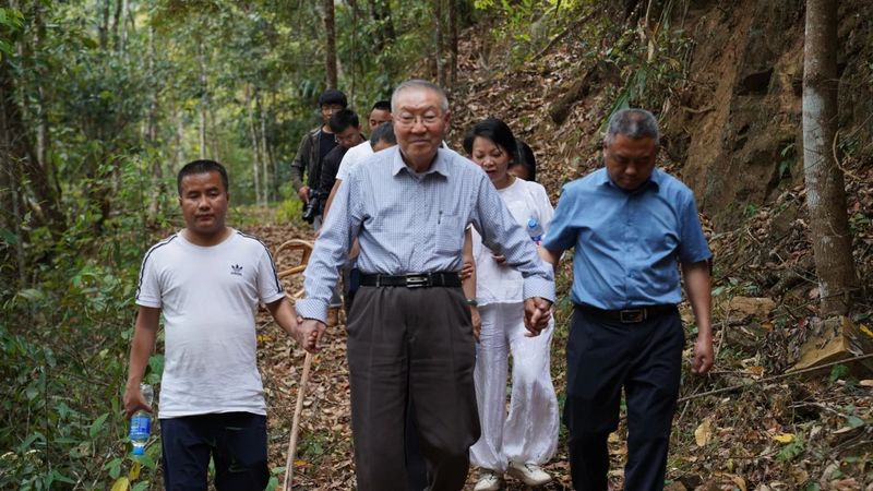 有关于普洱思茅：一方水土养一方茶 探秘老安寨古茶园的相关信息(1)