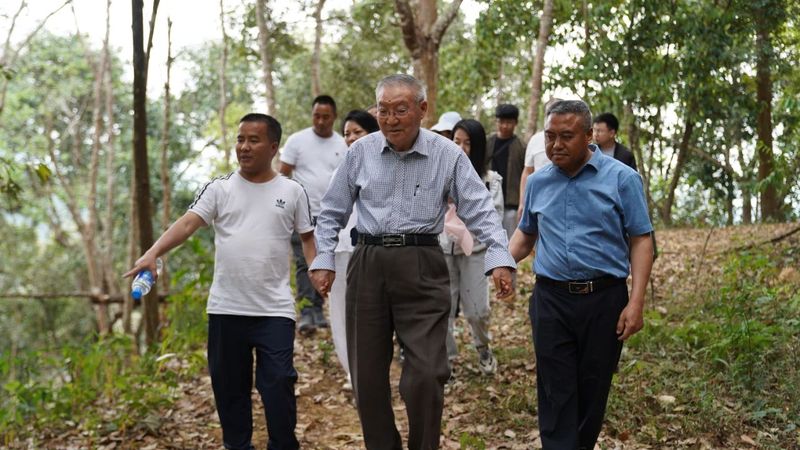 有关于普洱思茅：一方水土养一方茶 探秘老安寨古茶园的相关信息(6)