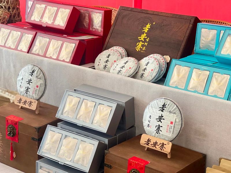 有关于普洱思茅：一方水土养一方茶 探秘老安寨古茶园的相关信息(13)