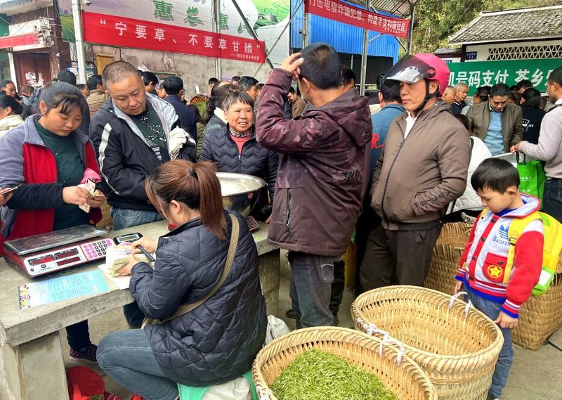 关于春茶上市,湄潭县湄江茶青市场交易忙的内容(2)