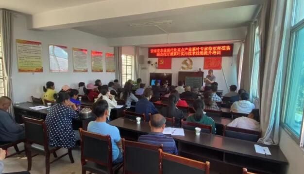 有关于江城各地开展茶叶技能培训 助力茶产业提质增效的信息