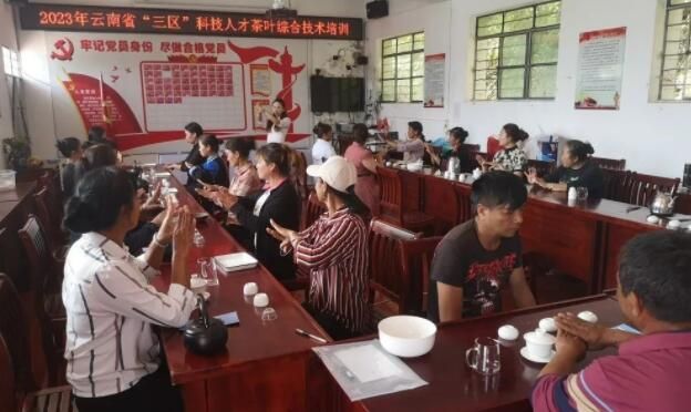 有关于江城各地开展茶叶技能培训 助力茶产业提质增效的信息(2)