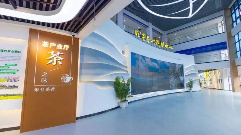 有关于旺苍 “三向发力”助力“茶叶”变“茶业”的资讯(4)