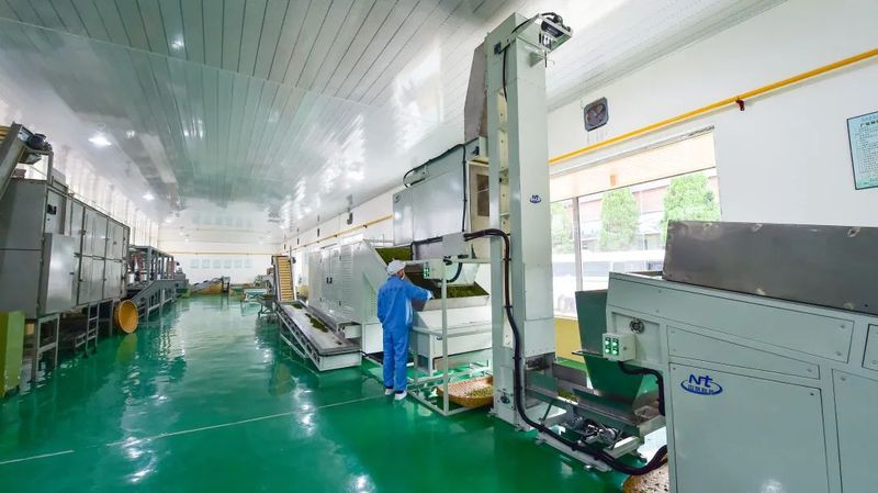 有关于旺苍 “三向发力”助力“茶叶”变“茶业”的资讯(5)