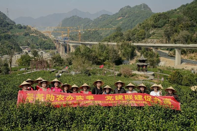 关于春光攥手里，时间抢回来，志愿助农采茶忙的消息(3)