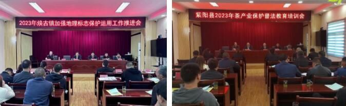 有关于部门联合,全力保障紫阳茶产业高质量发展的相关内容