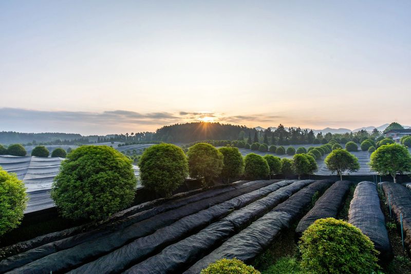 关于抹茶控看过来~3月28日相约铜仁这场盛会饮好水、品佳茗的相关信息