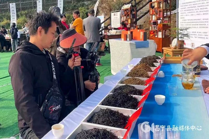 有关于电商直播助力昌宁茶产业发展的资讯