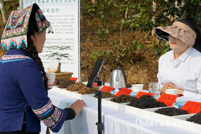 有关于电商直播助力昌宁茶产业发展的资讯(2)