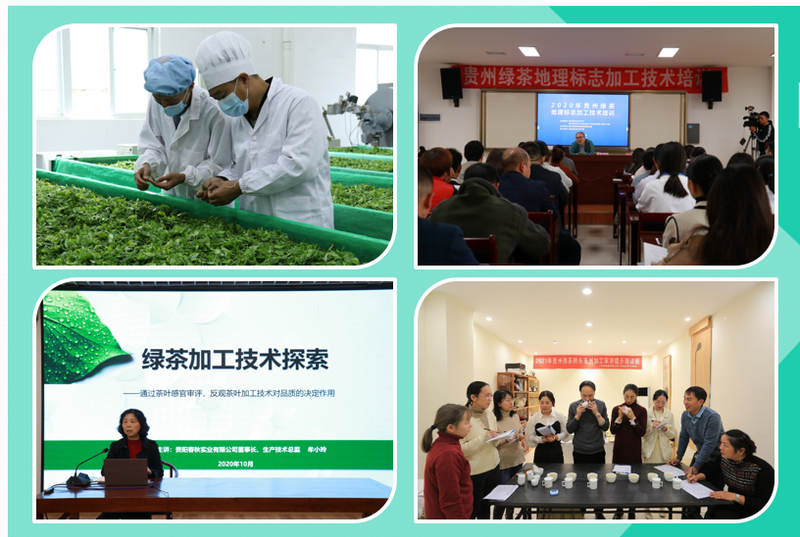 有关于“贵州绿茶制茶师”跻身贵州省首批省级优秀区域劳务品牌十强行列的消息(5)