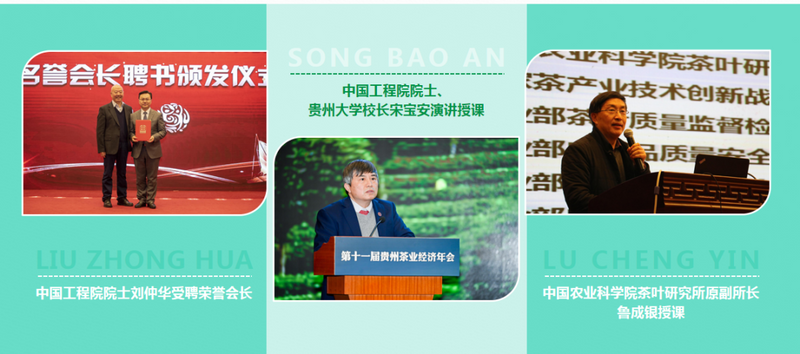 有关于“贵州绿茶制茶师”跻身贵州省首批省级优秀区域劳务品牌十强行列的消息(6)
