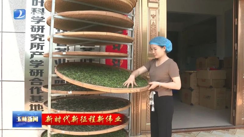 有关于玉林：春茶采收抢鲜上市 茶产业赋能乡村振兴的新闻(2)