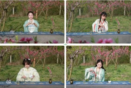 关于秀美洄水湾 悠悠贡茶情——洄水镇举行春茶开园节活动的最新消息(6)