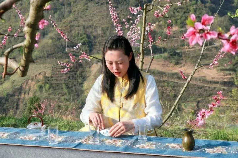 关于秀美洄水湾 悠悠贡茶情——洄水镇举行春茶开园节活动的最新消息(5)