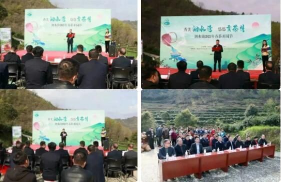 关于秀美洄水湾 悠悠贡茶情——洄水镇举行春茶开园节活动的最新消息(1)