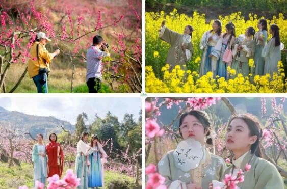 关于秀美洄水湾 悠悠贡茶情——洄水镇举行春茶开园节活动的最新消息(8)