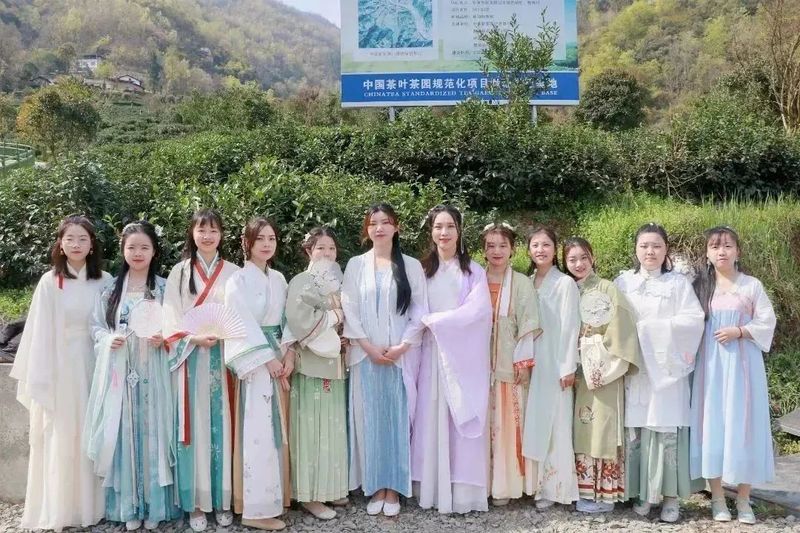 关于秀美洄水湾 悠悠贡茶情——洄水镇举行春茶开园节活动的最新消息(7)