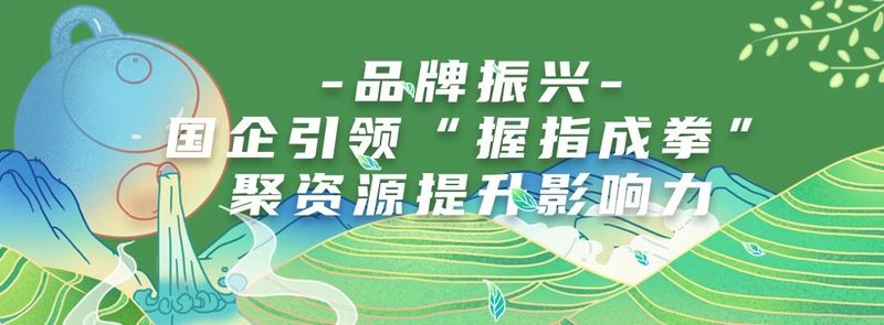 有关于吴中：一叶碧螺春的振兴路的资讯(8)