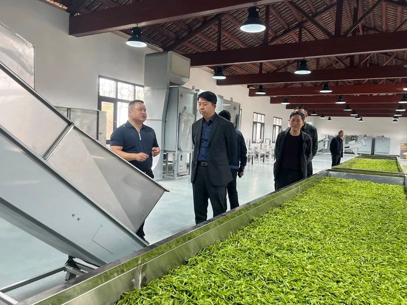 关于曹文成一行赴衡东县白莲镇小初茶场考察的相关内容(2)