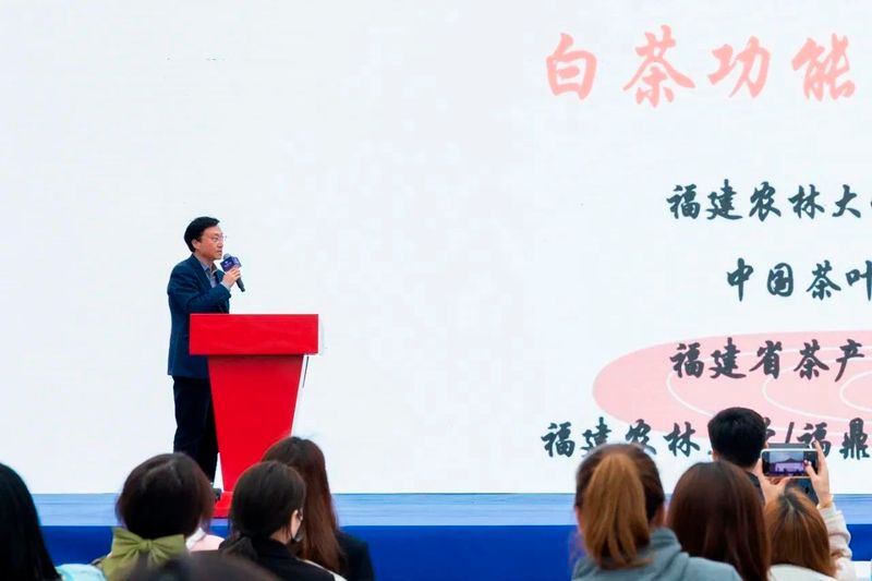 有关于“构筑百年企业·开启百亿新征程”1891百年世界白茶之路助力乡村振兴活动举办的消息(3)