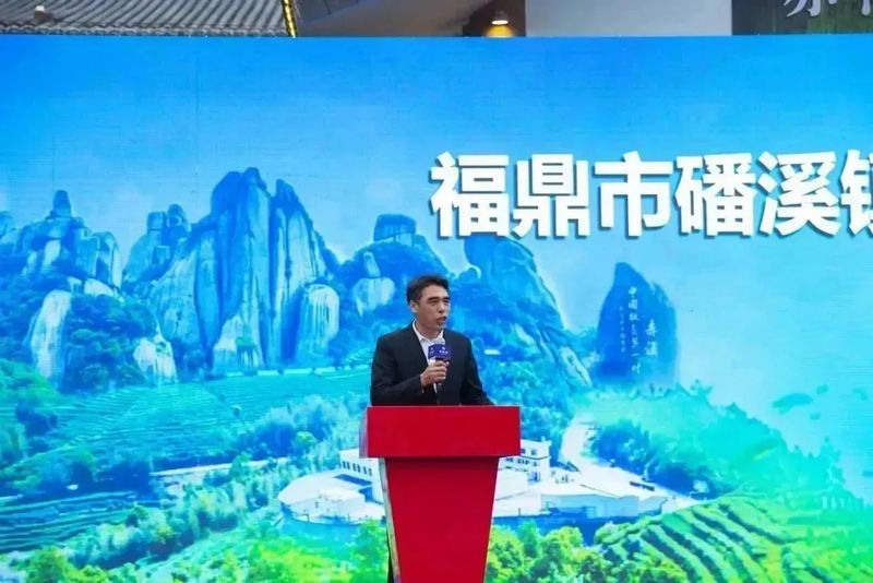 有关于“构筑百年企业·开启百亿新征程”1891百年世界白茶之路助力乡村振兴活动举办的消息(10)