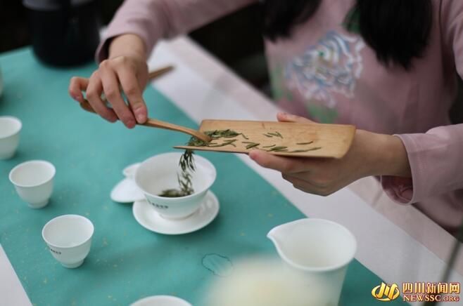 有关于春游峨眉山 春分春韵品春茶的信息(3)