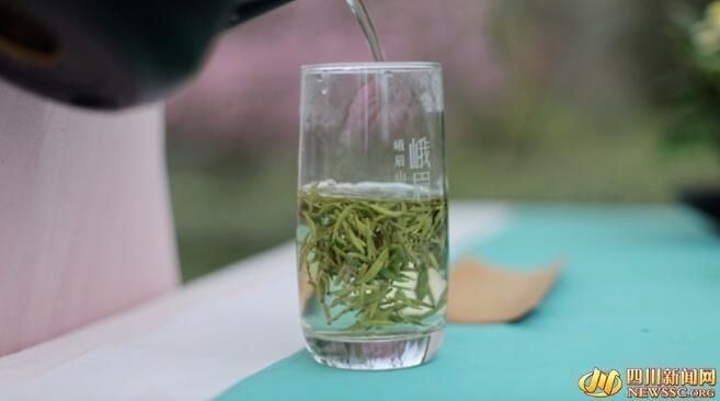 有关于春游峨眉山 春分春韵品春茶的信息(4)