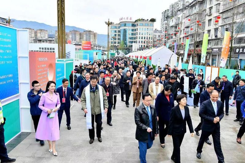有关于第十九届蒙顶山茶文化旅游节在四川雅安隆重举行的相关信息(22)