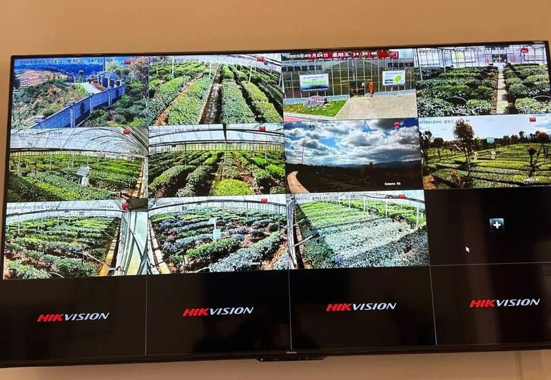 关于“三茶统筹”之茶科技的相关内容(8)