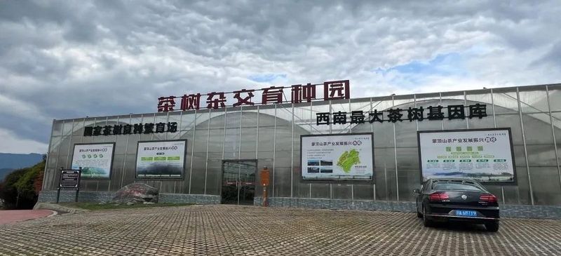 关于“三茶统筹”之茶科技的相关内容(4)