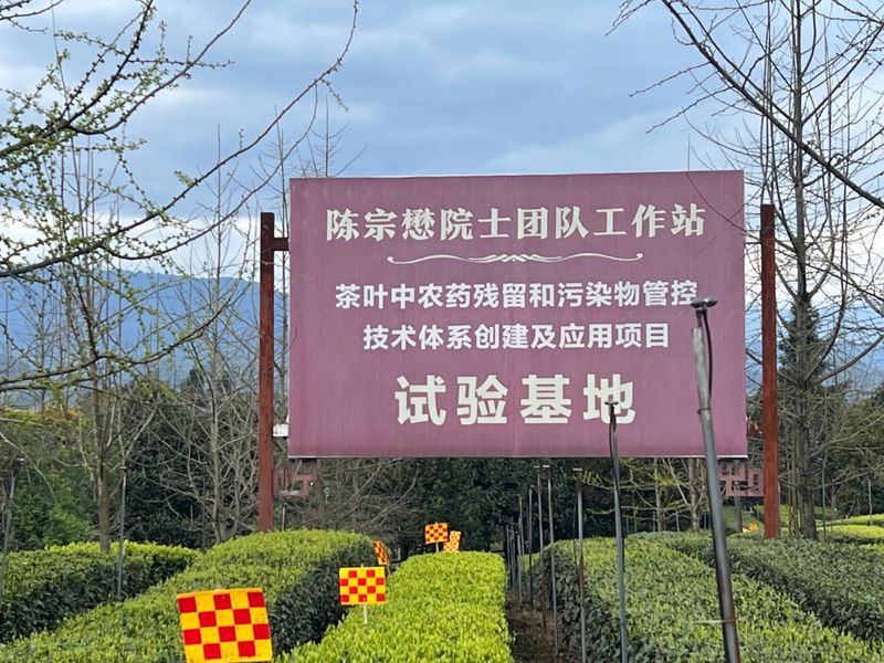 关于“三茶统筹”之茶科技的相关内容(6)