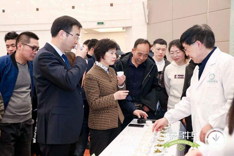 关于 “永嘉乌牛早”地理标志证明商标发布会暨春茶评鉴会在浙江省人民大会堂举办的内容(13)