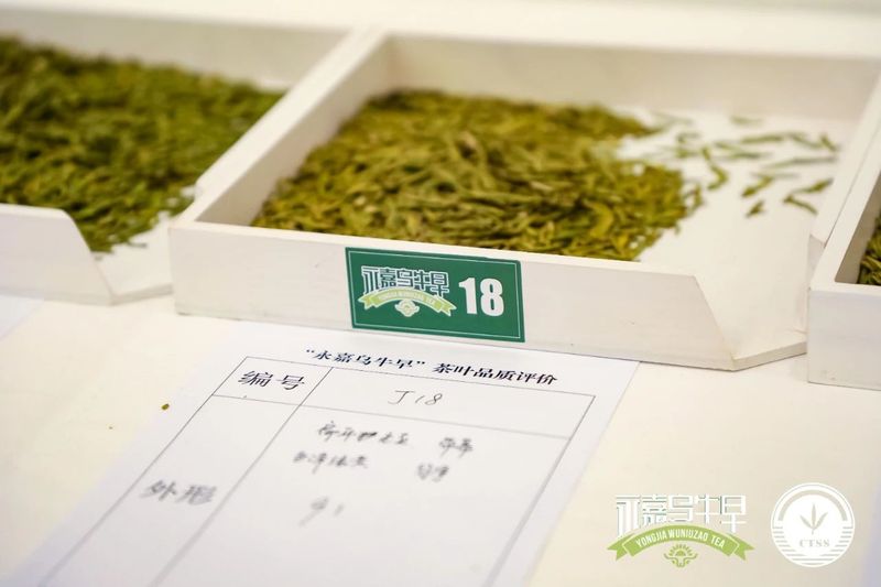 关于 “永嘉乌牛早”地理标志证明商标发布会暨春茶评鉴会在浙江省人民大会堂举办的内容(11)