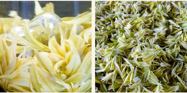 有关于茶中茅台！威远极品春茶开采的最新消息(7)