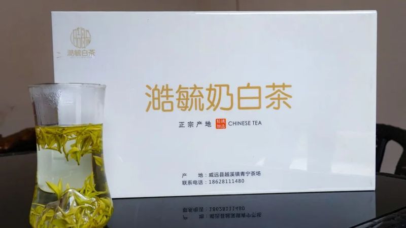 有关于茶中茅台！威远极品春茶开采的最新消息(6)