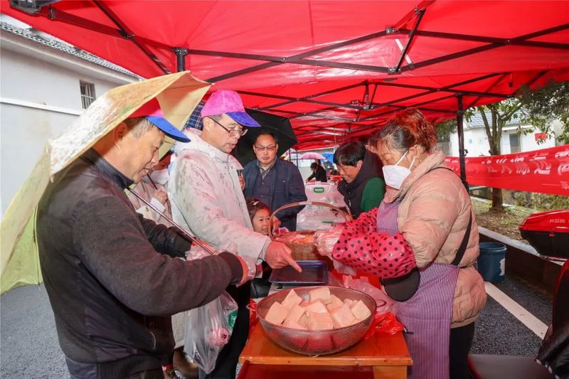 关于婺城春茶开采！价格比去年……的内容(4)