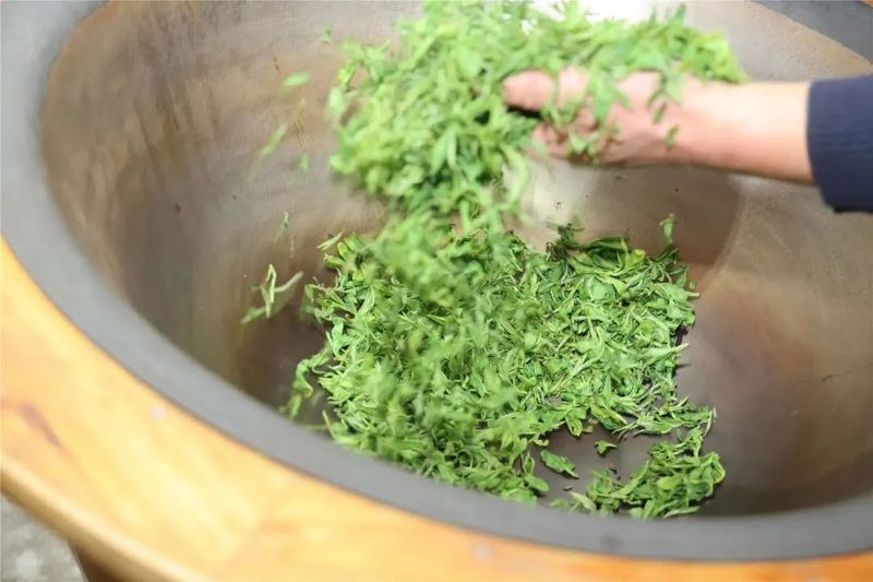 关于婺城春茶开采！价格比去年……的内容(5)